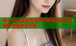 糖心vlog湖北考试网权威报名查询成绩志愿填报全攻略