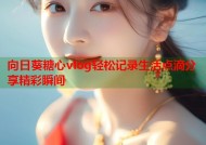 向日葵糖心vlog轻松记录生活点滴分享精彩瞬间
