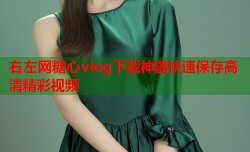 右左网糖心vlog下载神器快速保存高清精彩视频