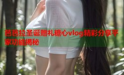 芭芭拉圣诞赠礼糖心vlog精彩分享平家功能揭秘