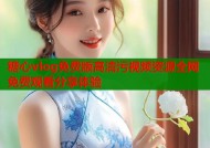 糖心vlog免费版高清污视频资源全网免费观看分享体验