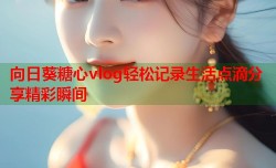 向日葵糖心vlog轻松记录生活点滴分享精彩瞬间