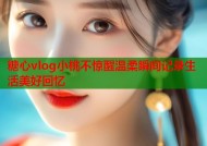 糖心vlog小桃不惊醒温柔瞬间记录生活美好回忆