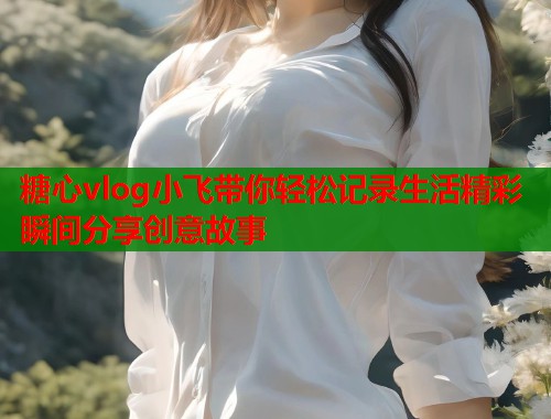 糖心vlog小飞带你轻松记录生活精彩瞬间分享创意故事  第2张